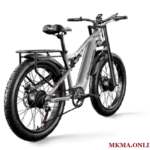 Ebike 2000W Dual Motor Review