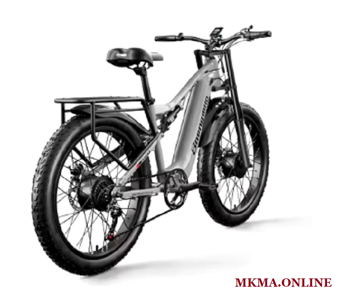 Ebike 2000W Dual Motor Review